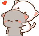 Haysen_cat_carinho