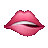 Haysen_delicia