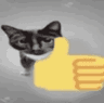 cat_thumbsup