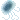 vv_bluejellyfish