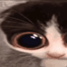 emoji_113