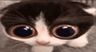 monka
