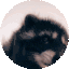 pedropedropedro