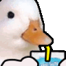 9GH_ducksip