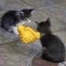 ch_handshake
