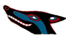 coyote