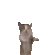 69501cat