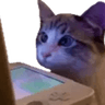75144catds