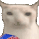 48188catcips