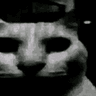 SCevil