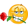 03_rose