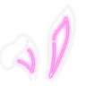 NeonBunny