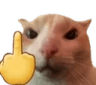cat_fvck_u