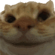 Sisi