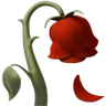 wilted_rose