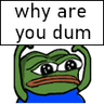 PeepoWhyAreYouDum