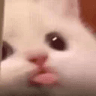 1129494055391334513