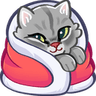 CozyKitty