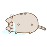 001pusheen5
