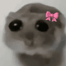 16152sadhamstercoquette