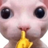 shhh_FemboyFantansy