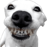 mewhenismile