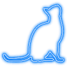 neon_cat