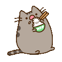 pusheen_rice