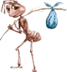 sadant