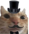 CB_fancy_stare