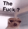 the_fuck
