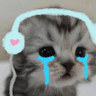 A_cry_cat