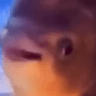 emoji_109