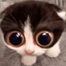 emoji_365