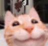1374024501154545714