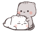 cute_cats_patting