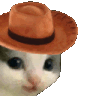 Meowdy