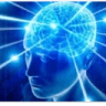 BigBrain
