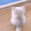 waitingpatientlycat