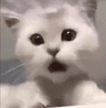 omg