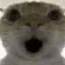 omg_shocked