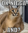 SE_Okniggaandfloppa