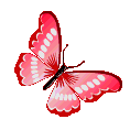 76730butterflyred
