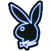 BoiBunny
