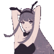 DanceBunny
