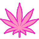 QueenCannabis