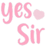 SirYesSir