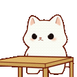 CatFlipTable