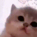 emoji_48