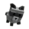 Racoon